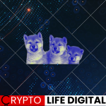 https://backup.cryptolifedigital.com/wp-content/uploads/2024/02/shib.png