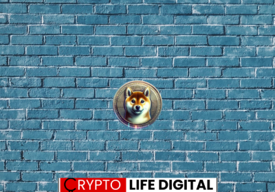 Shiba Inu (SHIB) May Outlook: Mixed Signals Amidst Broader Market Correction