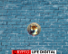 Shiba Inu (SHIB) May Outlook: Mixed Signals Amidst Broader Market Correction Shiba Inu (SHIB) May Outlook: Mixed Signals Amidst Broader Market Correction