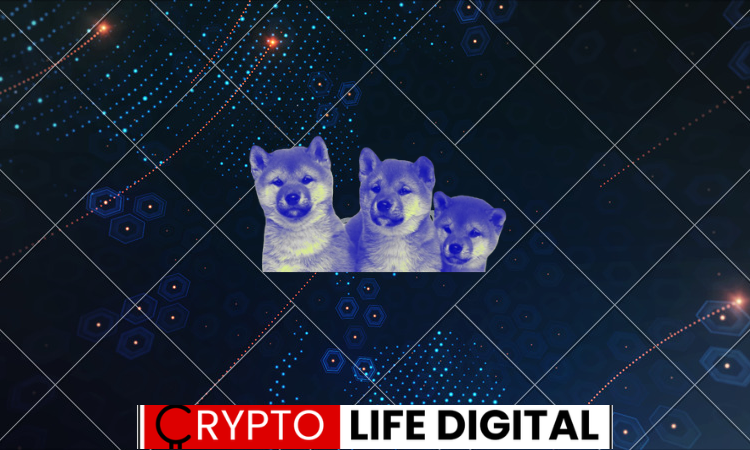 https://backup.cryptolifedigital.com/wp-content/uploads/2024/02/shib.png