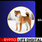 https://backup.cryptolifedigital.com/wp-content/uploads/2024/02/shibb-1.png