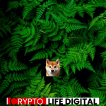 https://backup.cryptolifedigital.com/wp-content/uploads/2024/02/shii.png