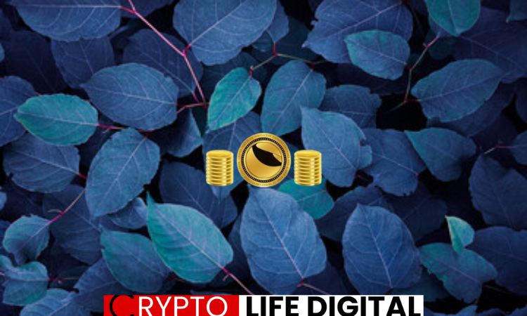 https://backup.cryptolifedigital.com/wp-content/uploads/2024/02/terra-2-1.png