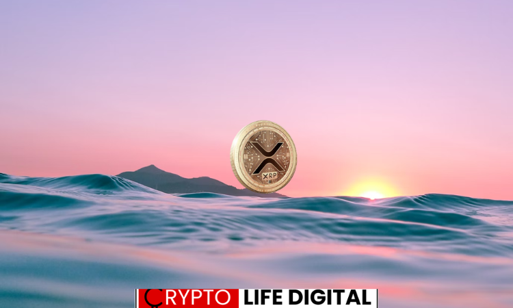 https://backup.cryptolifedigital.com/wp-content/uploads/2024/02/x.png