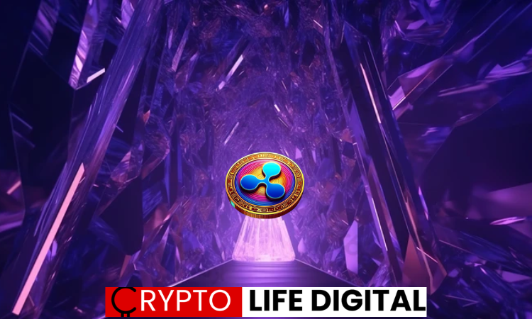 https://backup.cryptolifedigital.com/wp-content/uploads/2024/02/xrp-risk.png