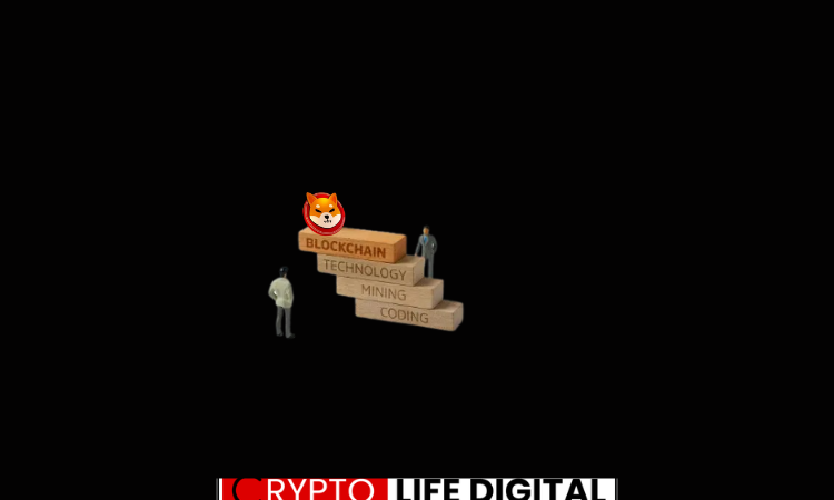 https://backup.cryptolifedigital.com/wp-content/uploads/2024/03/Untitled-design-2.png