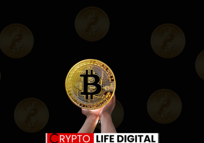 Bitcoin Successfully Halves, But Price Impact Remains Unclear
