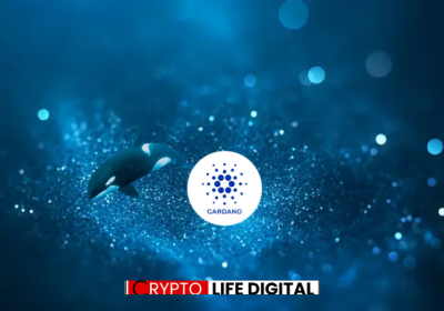 Cardano Sees Surge in Large Transaction Volume, But Price Direction Unclear