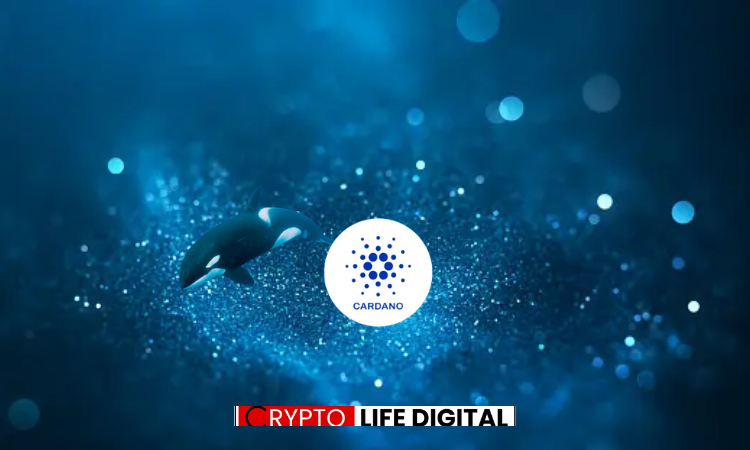 https://backup.cryptolifedigital.com/wp-content/uploads/2024/03/cardano-Bull.png