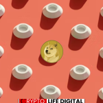 https://backup.cryptolifedigital.com/wp-content/uploads/2024/03/shibb-1.png
