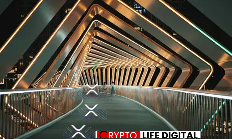 https://backup.cryptolifedigital.com/wp-content/uploads/2024/03/xrpl.png