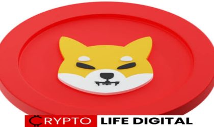 Shiba Inu Soars: Meme Coin Maturing into Market Contender