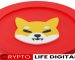 Shiba Inu Soars: Meme Coin Maturing into Market Contender Shiba Inu Soars: Meme Coin Maturing into Market Contender