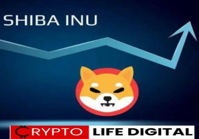 Shiba Inu Marketing Fuels Optimism in India, Despite Price Volatility