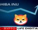 Shiba Inu: Down But Not Out? Analyst Predicts Recovery Despite Market Woes Shiba Inu: Down But Not Out? Analyst Predicts Recovery Despite Market Woes
