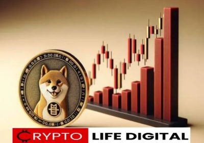 Exciting News for Shiba Inu Holders: Shibarium UI Upgrade Amplifies MetaMask and Coinbase Wallet Integration