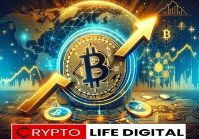 The Rise and Fall of Bitcoin: Lessons to Learn from its Volatility