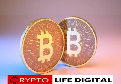 The Rise of Bitcoin Halving: What It Means for the Digital Economy