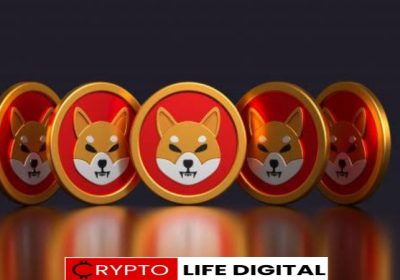 Shiba Inu Community Burns Over 1.6 Billion SHIB in April, But Burn Rate Drops Significantly