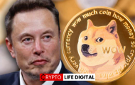 Dogecoin Rises by 29% Amid Reports of Tesla Supporting DOGE Payment