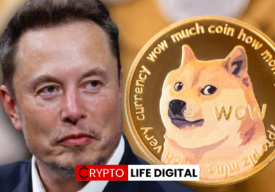 Elon Musk Revives Dogecoin Spirits, Shiba Inu Eyes Top 10 Return