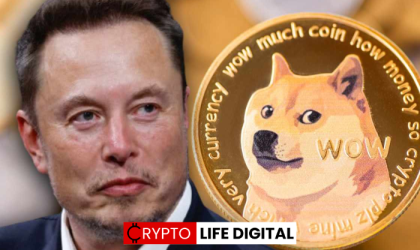 Dogecoin Rises by 29% Amid Reports of Tesla Supporting DOGE Payment