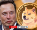 Elon Musk Revives Dogecoin Spirits, Shiba Inu Eyes Top 10 Return Elon Musk Revives Dogecoin Spirits, Shiba Inu Eyes Top 10 Return