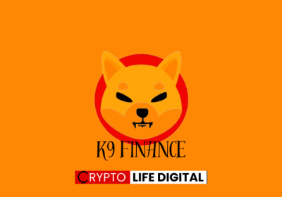 K9 Finance Community Backs Key Proposals, Boosting Shibarium Integration