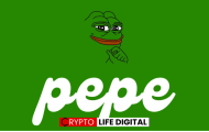 Pepe Token Acquisition Signals Growing Interest in Meme Coins