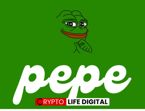 Pepe Token Acquisition Signals Growing Interest in Meme Coins