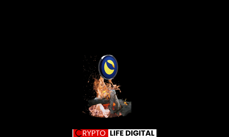 https://backup.cryptolifedigital.com/wp-content/uploads/2024/04/burned.png