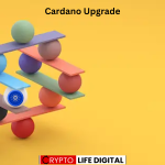 https://backup.cryptolifedigital.com/wp-content/uploads/2024/04/cardano-wallet.png