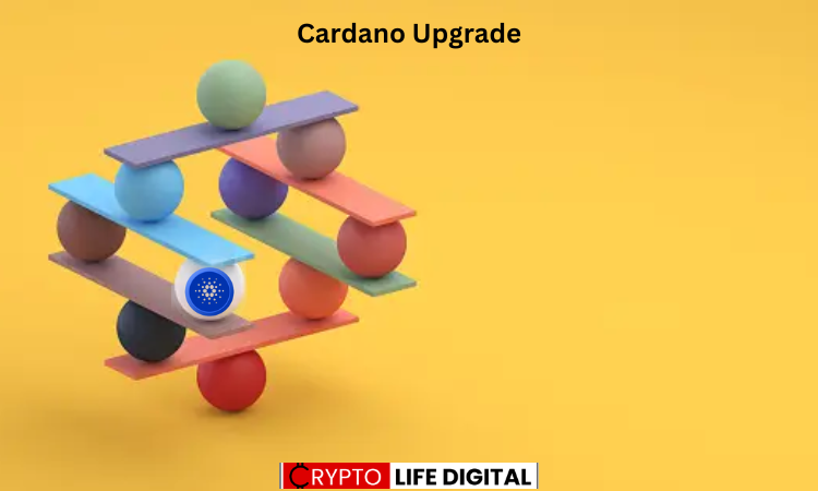 https://backup.cryptolifedigital.com/wp-content/uploads/2024/04/cardano-wallet.png