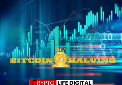 Historical Fact: What Happened To Dogecoin After The Last Bitcoin Halving, Will It Repeat Now? Details