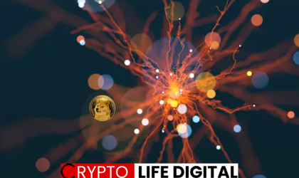 Exciting News In Dogecoin Camp As It Price Rises Above The $0.2 Mark