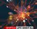 Whale Accumulation Sparks Dogecoin Speculation Despite Price Slump Whale Accumulation Sparks Dogecoin Speculation Despite Price Slump