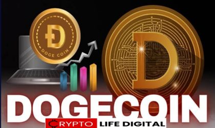Dogecoin Dominates Meme Coin Price Surge