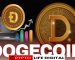 Dogecoin Dominates Meme Coin Price Surge Dogecoin Dominates Meme Coin Price Surge