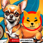 Hump (HUMP): A New Meme Coin Chasing Shiba Inu's Crown?