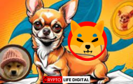 Hump (HUMP): A New Meme Coin Chasing Shiba Inu’s Crown?