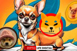 Hump (HUMP): A New Meme Coin Chasing Shiba Inu’s Crown?