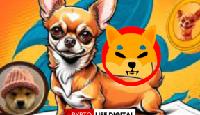 Hump (HUMP): A New Meme Coin Chasing Shiba Inu’s Crown?