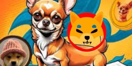 Hump (HUMP): A New Meme Coin Chasing Shiba Inu’s Crown?