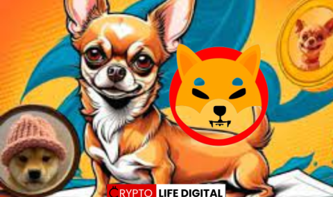 Hump (HUMP): A New Meme Coin Chasing Shiba Inu’s Crown?