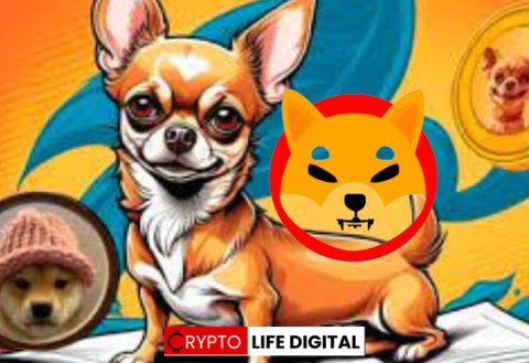 Hump (HUMP): A New Meme Coin Chasing Shiba Inu’s Crown?