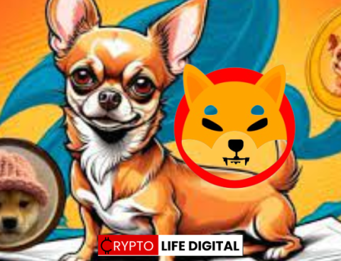 Hump (HUMP): A New Meme Coin Chasing Shiba Inu’s Crown?