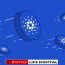 New Report: $10M Signal Identifies Cardano’s (ADA) Potential to Surpass $0.50